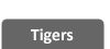 TIGERS